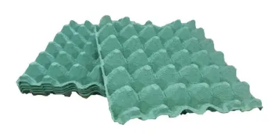 Bandeja de cartón verde para huevos