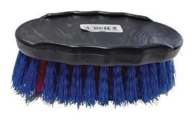 Cepillo de raiz ovalado colores varios 1 × 12 escocesa