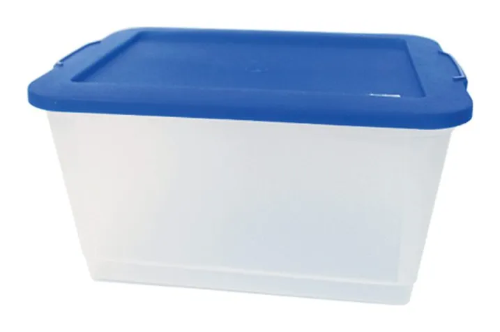 Caja trasparente de 10 L Sparta