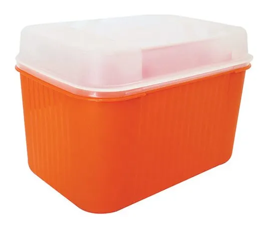 Caja multiusos #4 spart con tapa