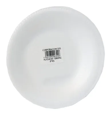 Plato #9 sin división Bio Foam 20 × 25