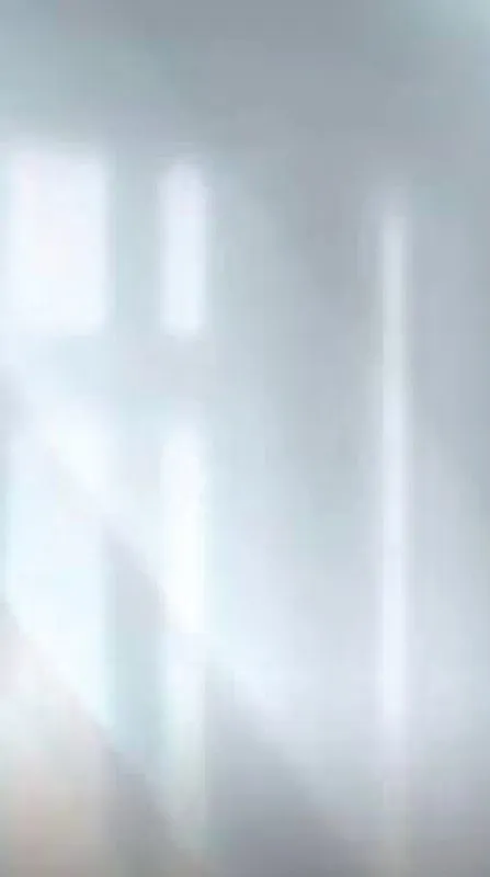 Lámina tipo espejo PVC